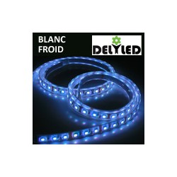 Ruban LED 4m 24V éclairage puissant - LED SMD 5050