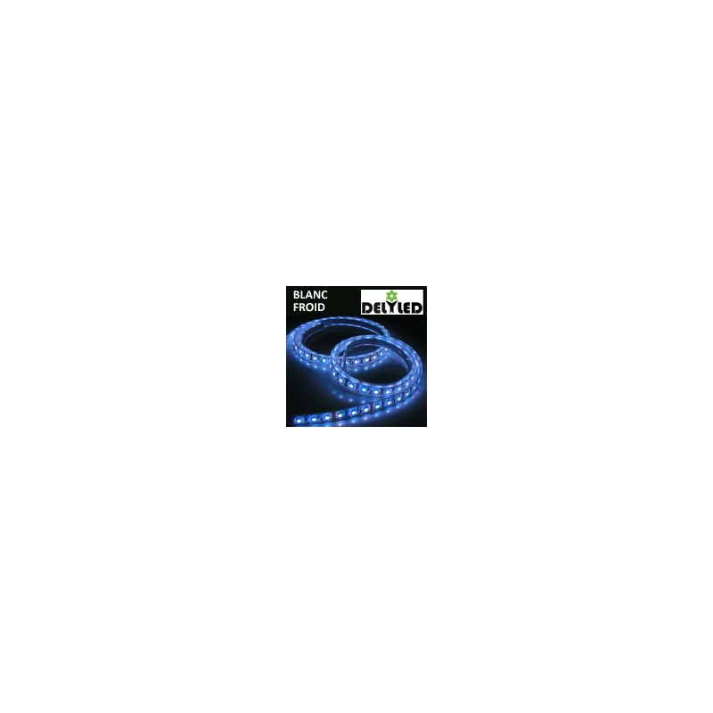 Ruban LED 5m 24V éclairage puissant - LED SMD 5050