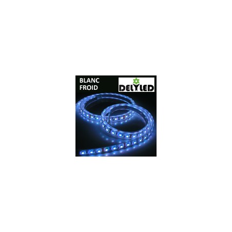 Ruban LED 5m 24V éclairage puissant - LED SMD 5050