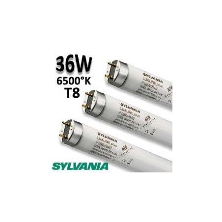 Tube fluo 36W 865 - Tube SYLVANIA Luxline 0001512