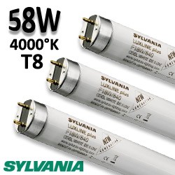 Tube fluo 58W 840 - Tube SYLVANIA Luxline 0001530
