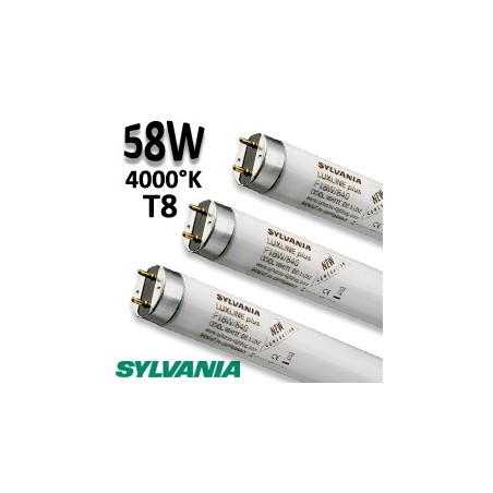Tube fluo 58W 840 - Tube SYLVANIA Luxline 0001530