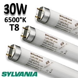 Tube fluo 30W 865 - Tube SYLVANIA Luxline 0001078