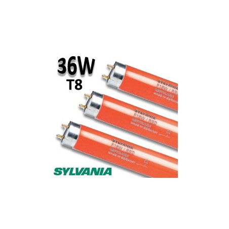 Tube fluo rouge 36W 1,20m - Tube néon rouge