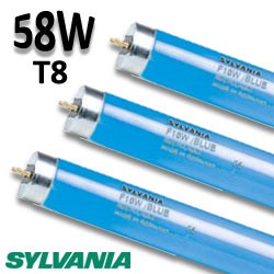 Tube fluo bleu 58W 1,50m - Tube néon bleu