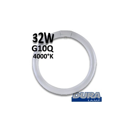 Tube fluo circulaire 32W G10Q 840 - Tube circline