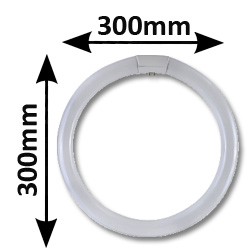 Tube fluo circulaire 32W G10Q 865 - Tube circline