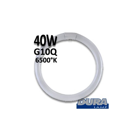 Tube fluo circulaire 40W G10Q 865 - Tube circline